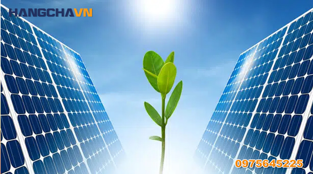 Solar Ivy - lá quang điện sử dụng nguồn năng lượng sạch