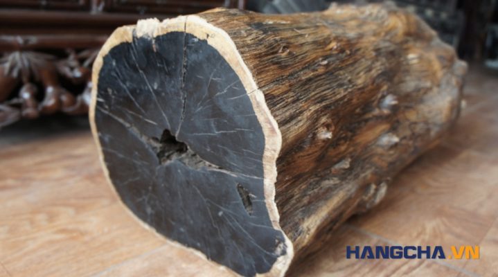 Gỗ Đen Châu Phi là một trong các loại gỗ đắt nhất hiện nay
